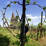 Semesterbostad Le Mandle A Riquewihr