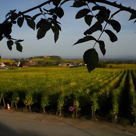 Le Mandle A * Riquewihr