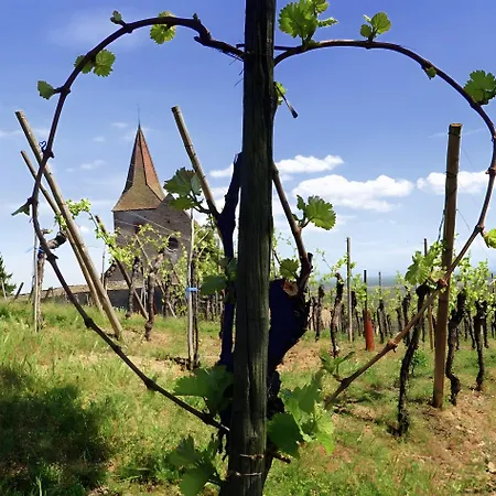 Ferienhaus Le Mandle A Riquewihr