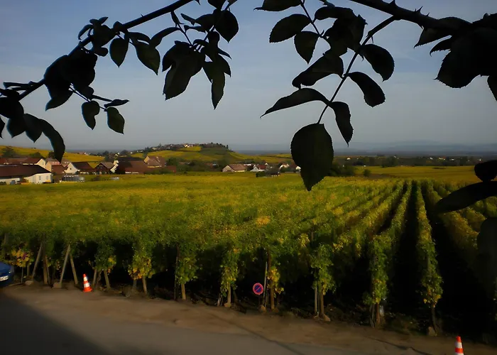 Le Mandle A * Riquewihr