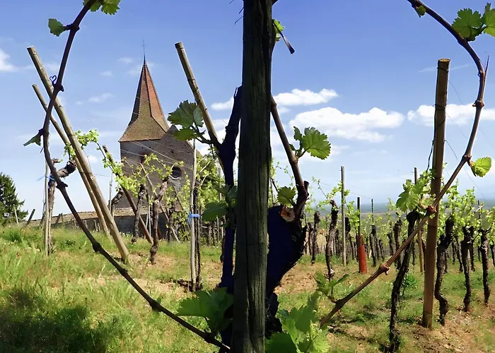 Vakantiehuis Le Mandle A Riquewihr